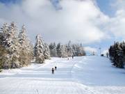 Les variantes dans la partie supérieure : à gauche, la pente est régulière, à droite, elle est d'abord un peu plus raide.