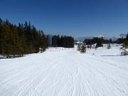 Piste au Rimmler-Moos
