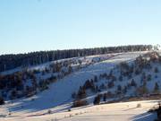 Beaucoup de plaisir attend les freeriders entre les arbres.