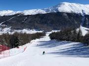 Piste au téléphérique Carosello 3000