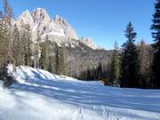 Piste n° 68 Scoiattolo