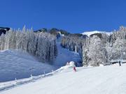 La piste difficile Trassabfahrt