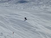 Les rêves de carving deviennent réalité !