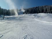 Téléski station supérieure Dorfbahn