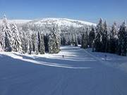 Piste facile Wiesenquelle