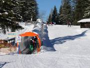Höss-Förderbänder - Tapis roulant/Moving Carpet recouvert d’une galerie