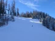 Descente Coupe du Monde Hannes Trinkl