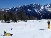 Pradalago Mini Ursus