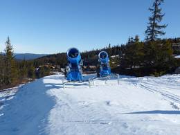 Nesfjellet – Nesbyen