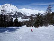Descente vers la vallée jusqu'à Surlej
