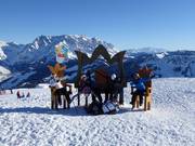 Photopoint avec le Hochkönig