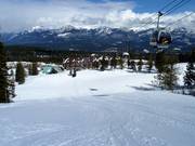 Descente Grizzly Paw