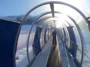 Tapis roulant Palabione