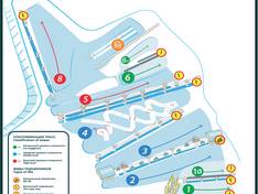 Plan des pistes Ohta Park