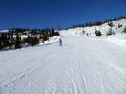 Descente vallée Taupitz