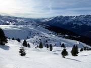 Zone freeride au Passo S. Antonio
