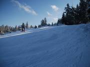 Depuis le sommet du Steinbrink, une piste plus raide descend vers la vallée.