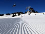 Piste Schrödelstein fraîchement préparée