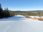 Piste facile Tusseparken