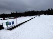 Tapis roulant pour toute la famille