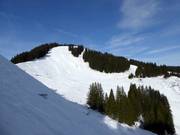 Vue sur le Weiherkopf