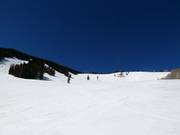 Descentes dans la Larkspur Bowl