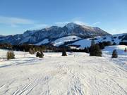 Piste panoramique facile