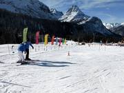 Zone débutants sur l’Ehrwalder Alm