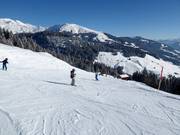 Descente vers la vallée Waltensburg