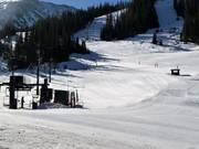 Zone débutants au téléski Molly Hogan