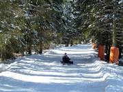 Piste de luge Hubertus
