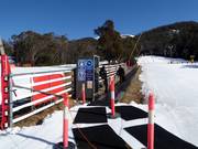 Wombats Snow Runner - Tapis roulant/Moving Carpet