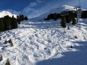 Piste à bosses à la Steinmannbahn
