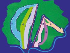 Plan des pistes Zolotaya Gora