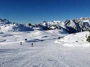Descente facile en forêt