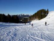 Piste facile Autobahn avec Sender Express