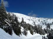 Vue sur les Falcon Glades