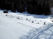 Piste Ponypiste