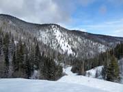 Vue vers Alder Point