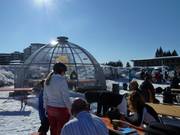 Bar à parasols chic au Seebuck