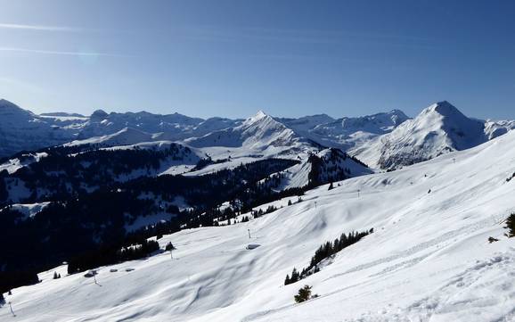 Vallée de la Sarine: Taille des domaines skiables – Taille Rinderberg/Saanerslochgrat/Horneggli – Zweisimmen/Saanenmöser/Schönried/St. Stephan