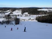 Piste au téléski Oedberg