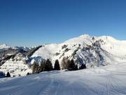 Vue sur le Grand Chamossaire