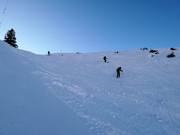 Piste à bosses Rodeo