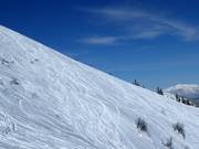 Pentes de poudreuse de la Riesneralm