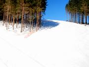 En pleine forme : les pistes du Sürenberg