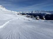 Descente Panorama Fiescheralp