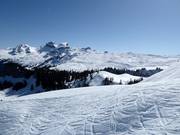 Vue sur le domaine skiable Hoch-Ybrig depuis le Laucherenstöckli