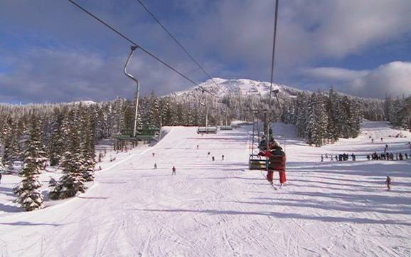 Diversité des pistes Comox Valley – Diversité des pistes Mount Washington