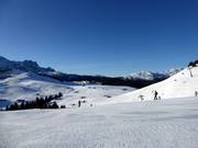 Piste Schwarzeck dans l'Almenwelt Lofer